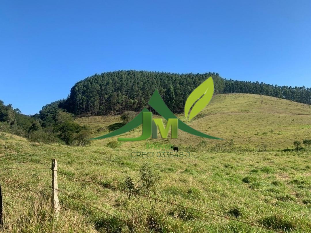 Terreno, 3 hectares - Foto 7