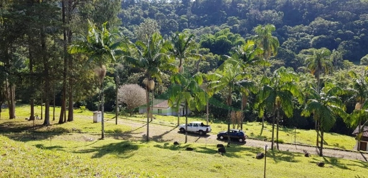 Sítio, 5 quartos, 19 hectares - Foto 14