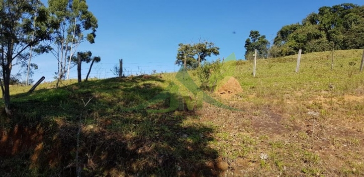 Sítio, 5 quartos, 19 hectares - Foto 19