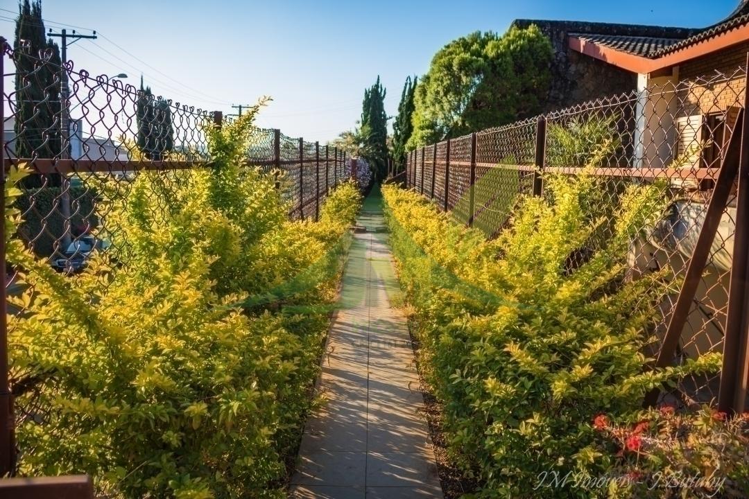 Casa, 4 quartos, 1800 m² - Foto 41