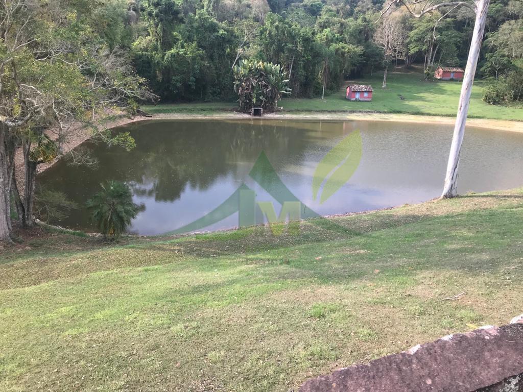 Fazenda, 2420 hectares - Foto 6