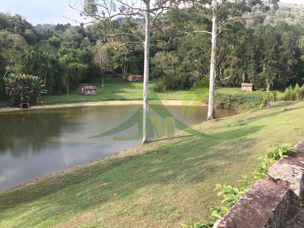 Fazenda, 2420 hectares - Foto 7