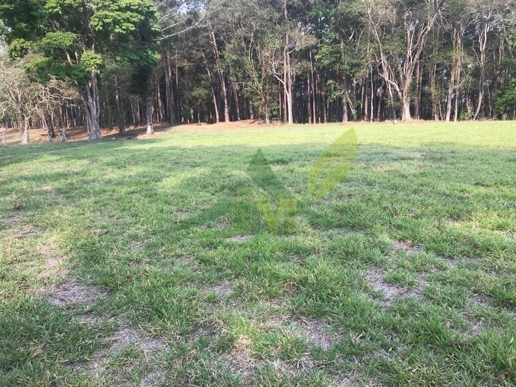 Fazenda, 2420 hectares - Foto 11