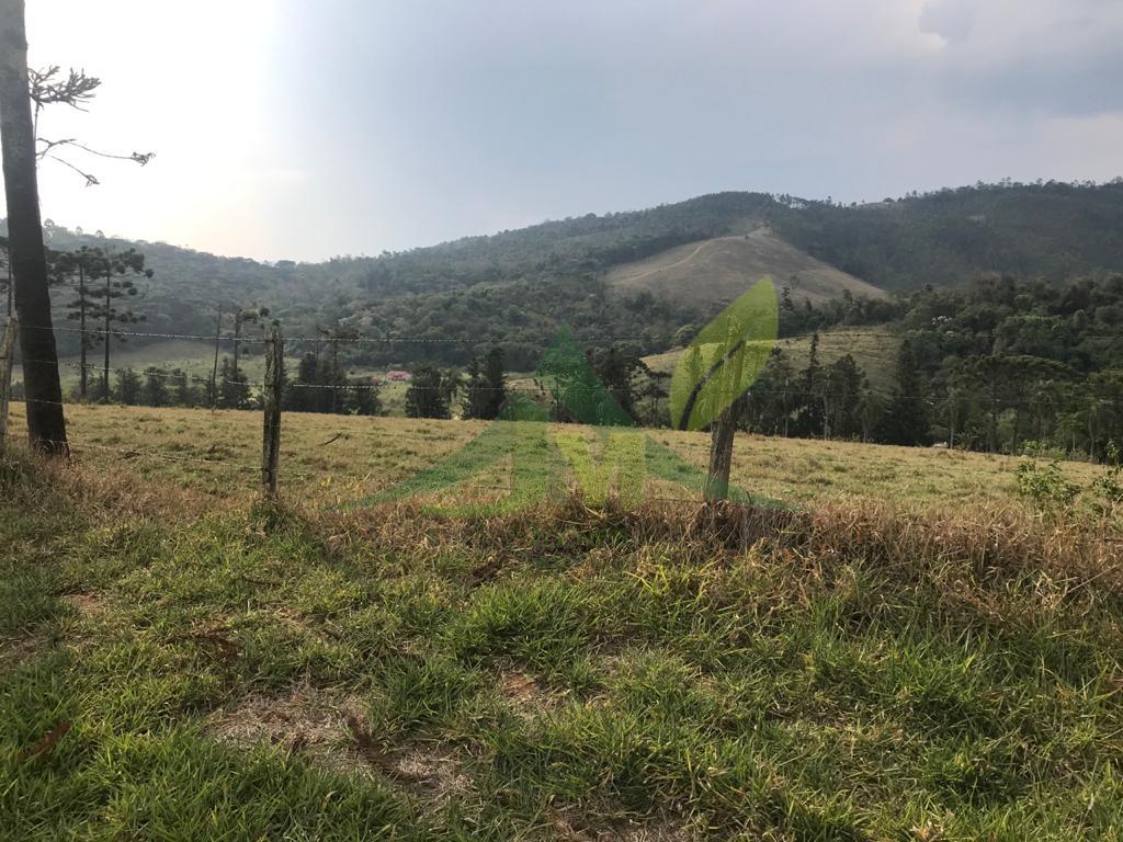 Fazenda, 2420 hectares - Foto 12