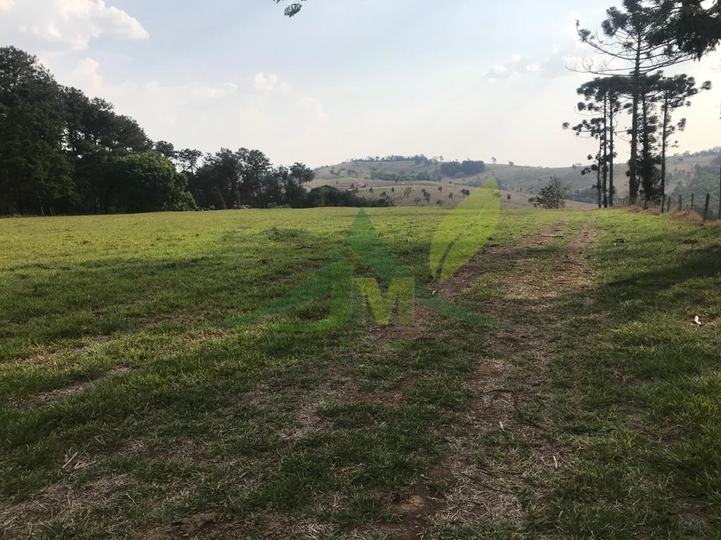 Fazenda, 2420 hectares - Foto 14