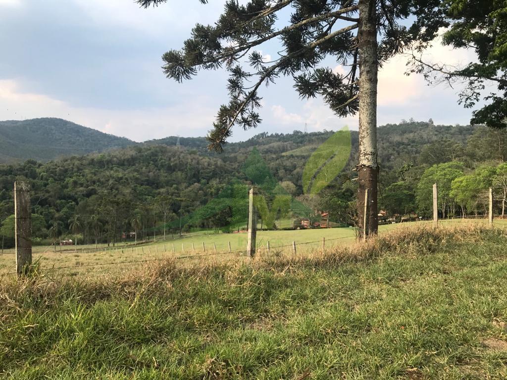 Fazenda, 2420 hectares - Foto 15