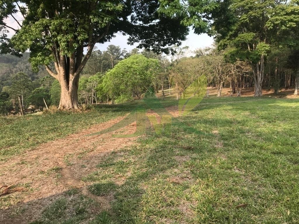 Fazenda, 2420 hectares - Foto 16