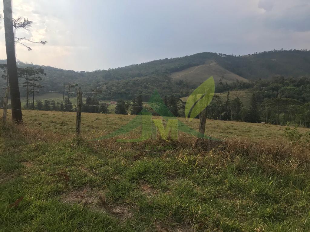 Fazenda, 2420 hectares - Foto 17