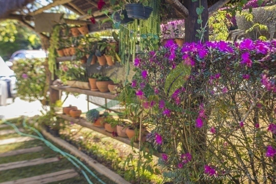 Sítio, 5 quartos, 5000 m² - Foto 53