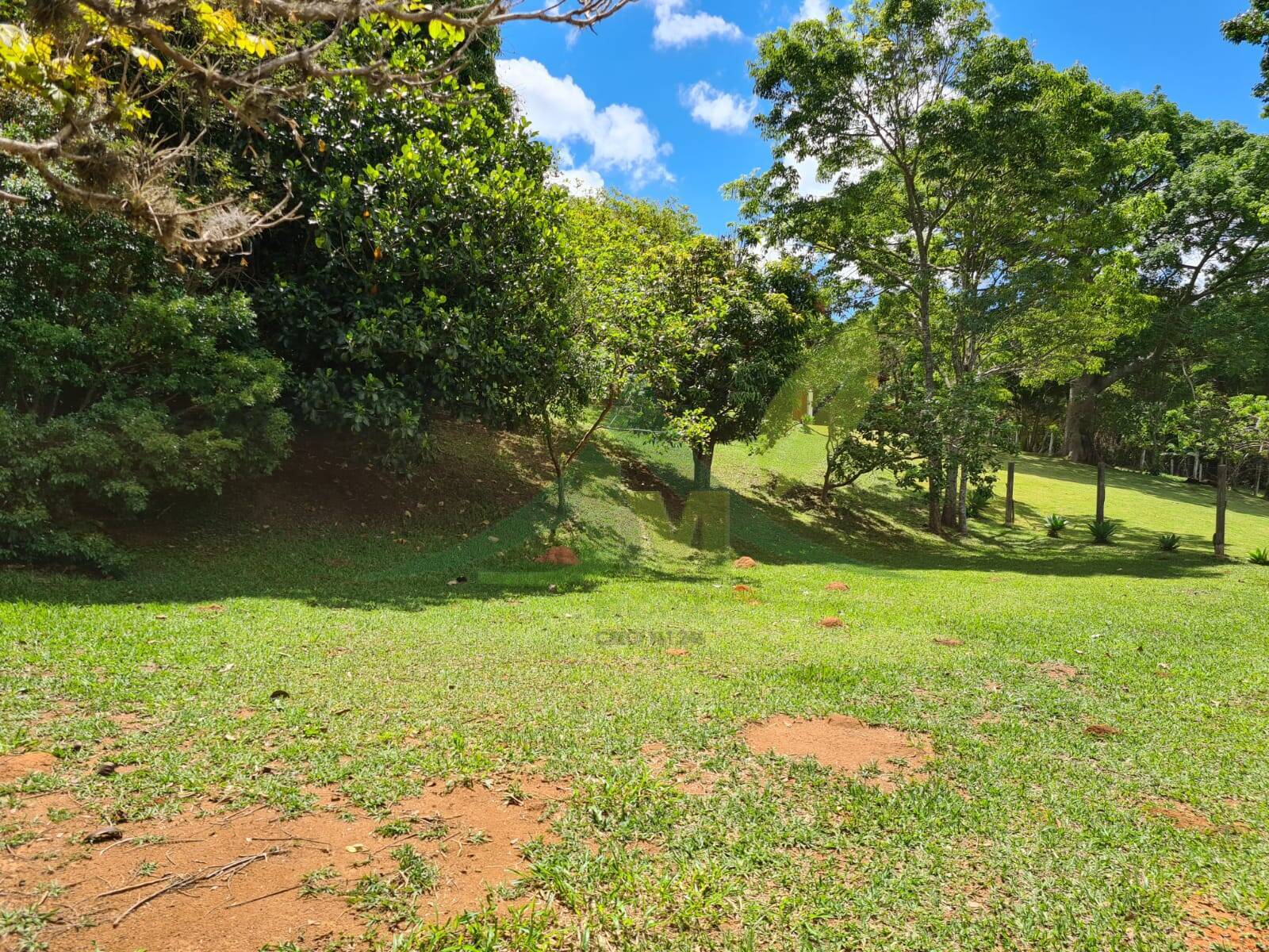 Sítio, 6 quartos, 2900 m² - Foto 25