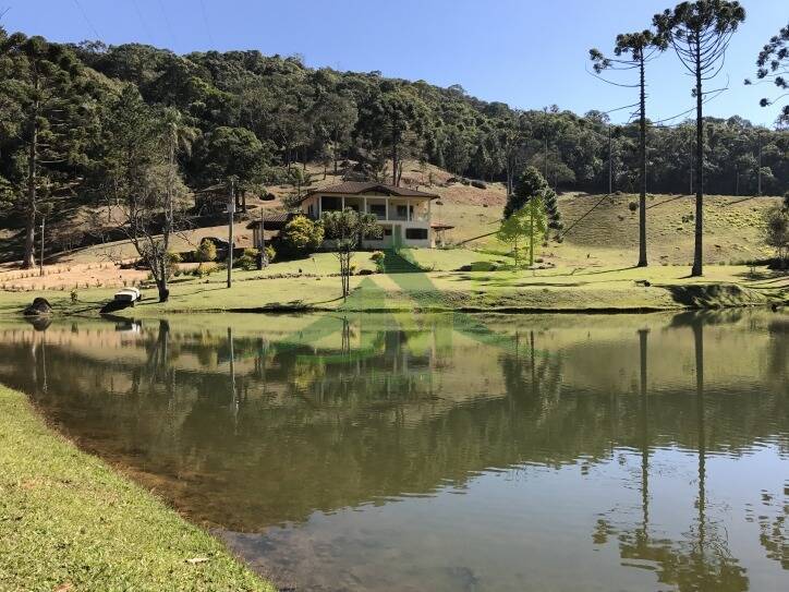 Sítio, 3 quartos, 30 hectares - Foto 11