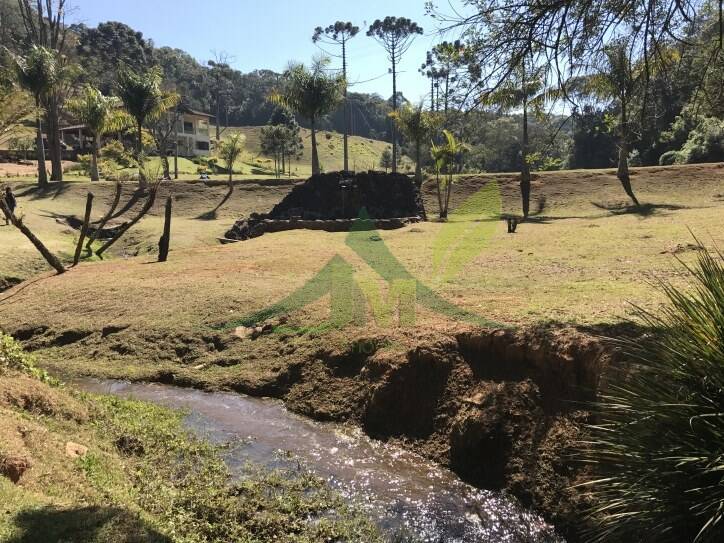 Sítio, 3 quartos, 30 hectares - Foto 9