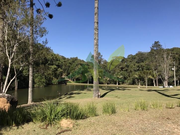 Sítio, 3 quartos, 30 hectares - Foto 10