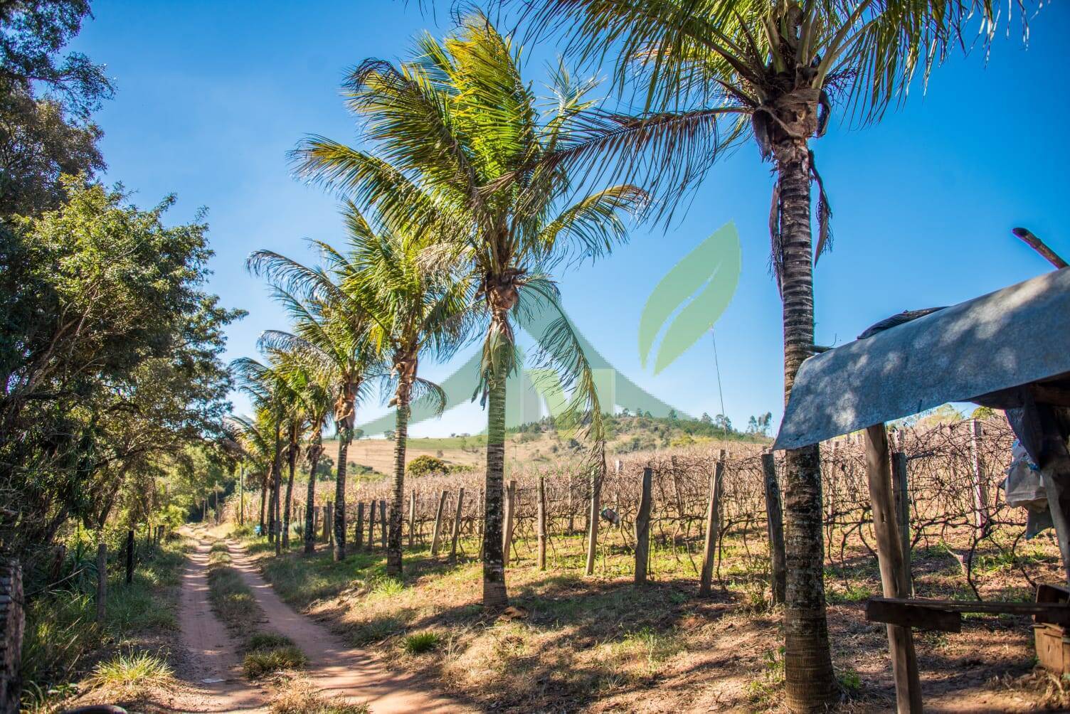 Terreno, 3 hectares - Foto 14