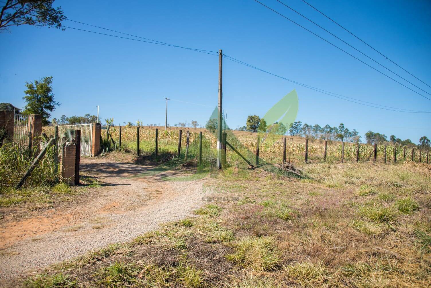 Terreno, 3 hectares - Foto 12