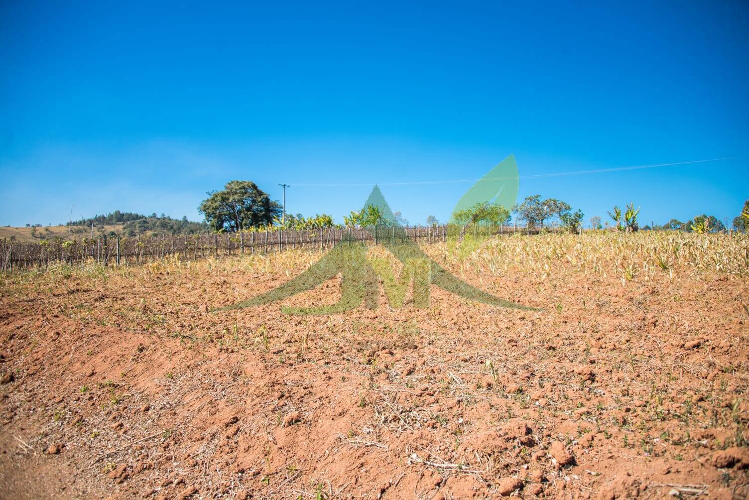 Terreno, 3 hectares - Foto 10