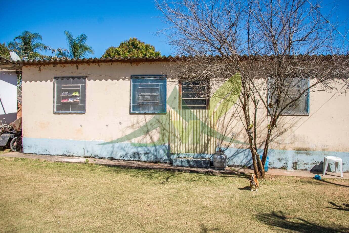 Terreno, 3 hectares - Foto 7