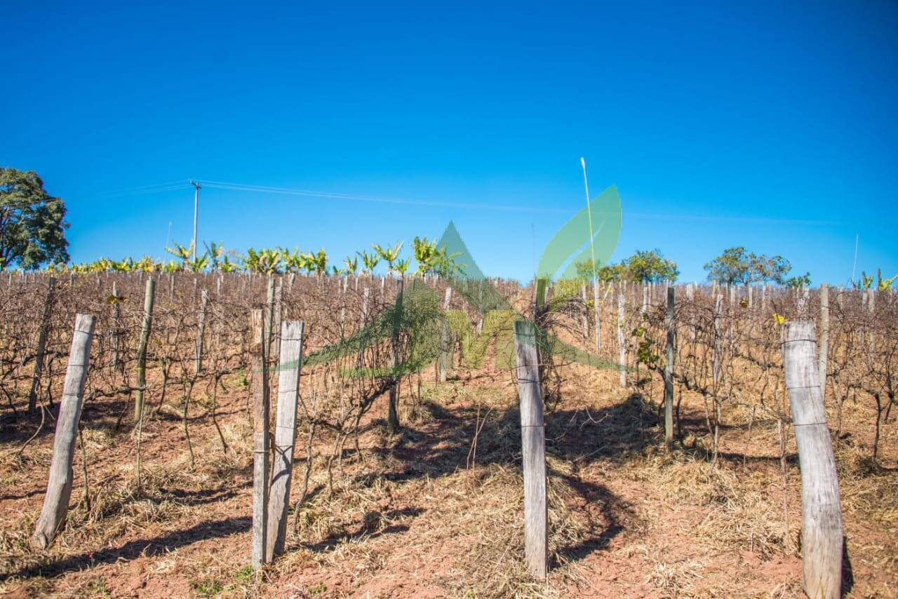 Terreno, 3 hectares - Foto 4
