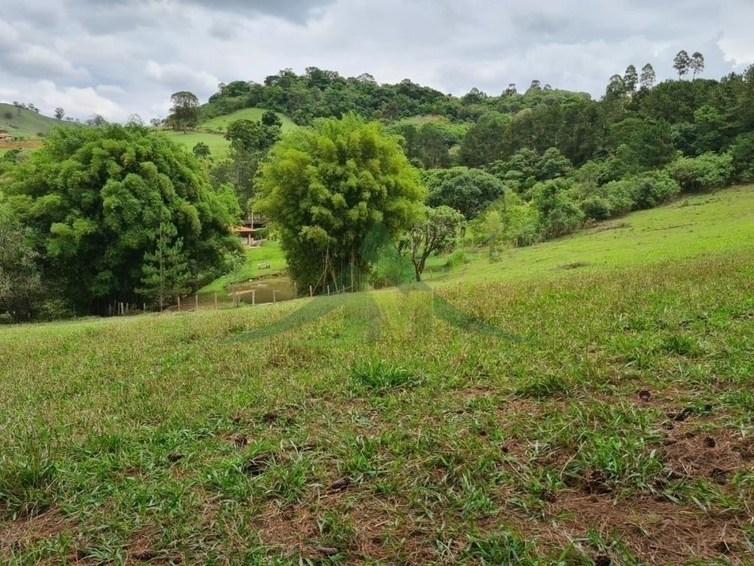 Sítio, 4 quartos, 5 hectares - Foto 6