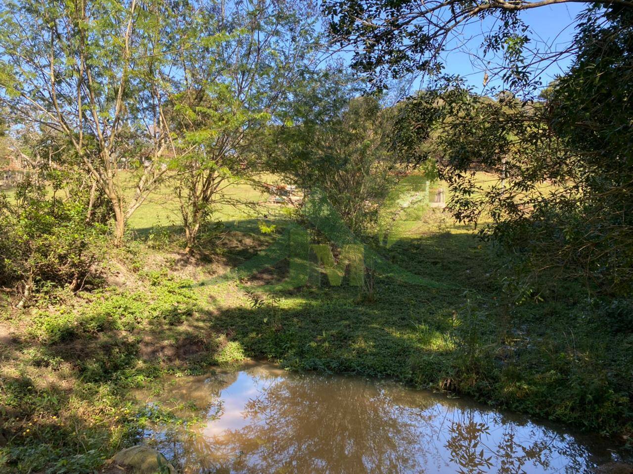 Sítio, 4 quartos, 5 hectares - Foto 4