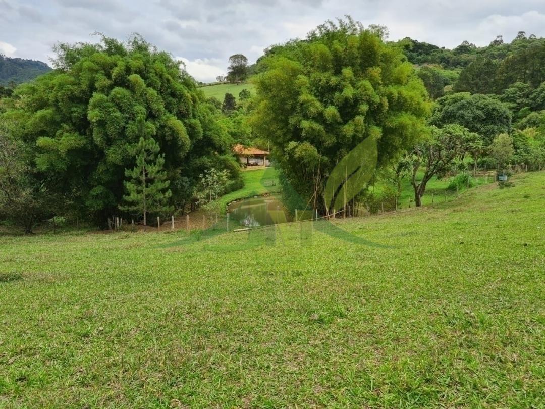 Sítio, 4 quartos, 5 hectares - Foto 7