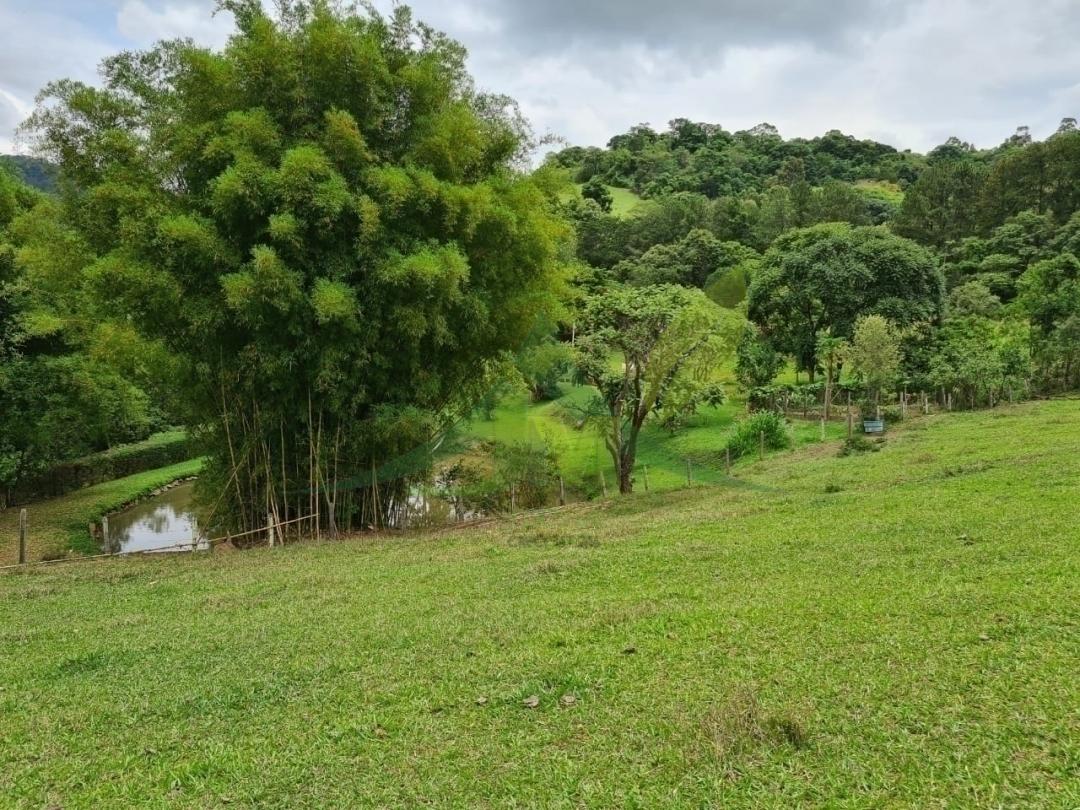 Sítio, 4 quartos, 5 hectares - Foto 8