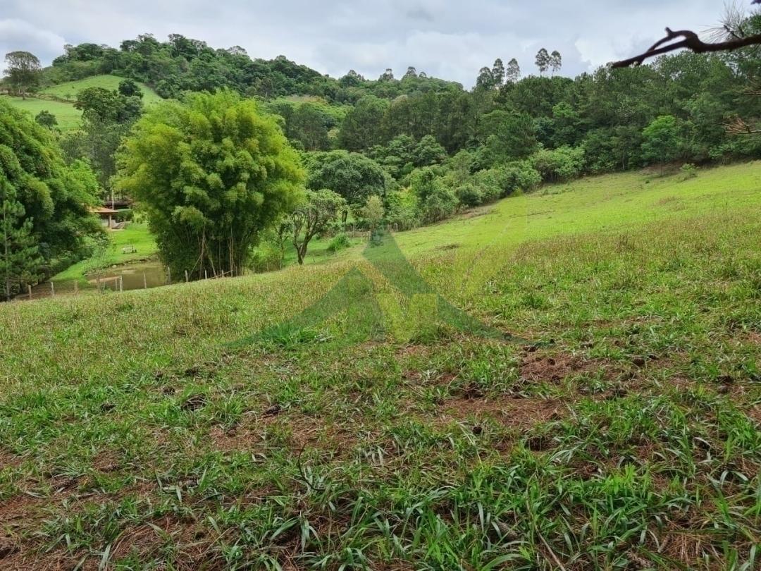 Sítio, 4 quartos, 5 hectares - Foto 9