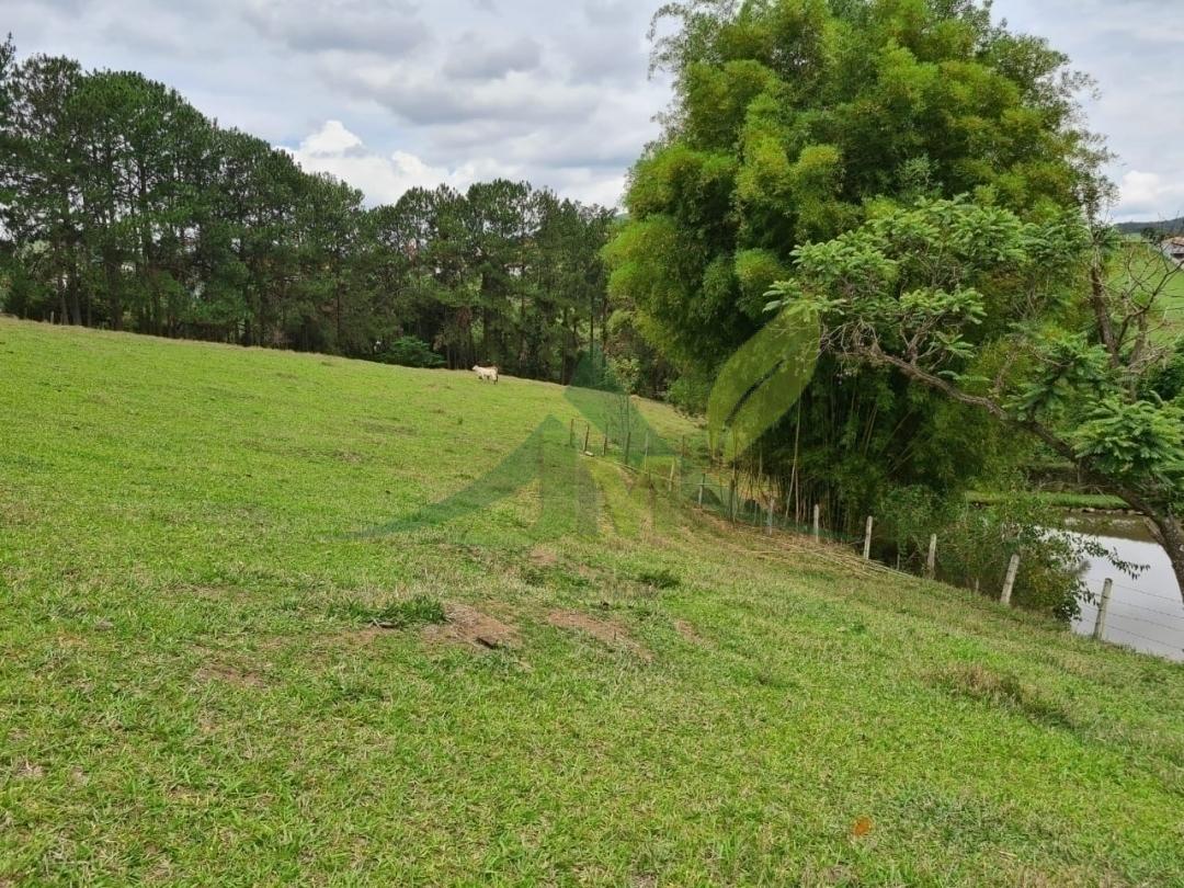 Sítio, 4 quartos, 5 hectares - Foto 10