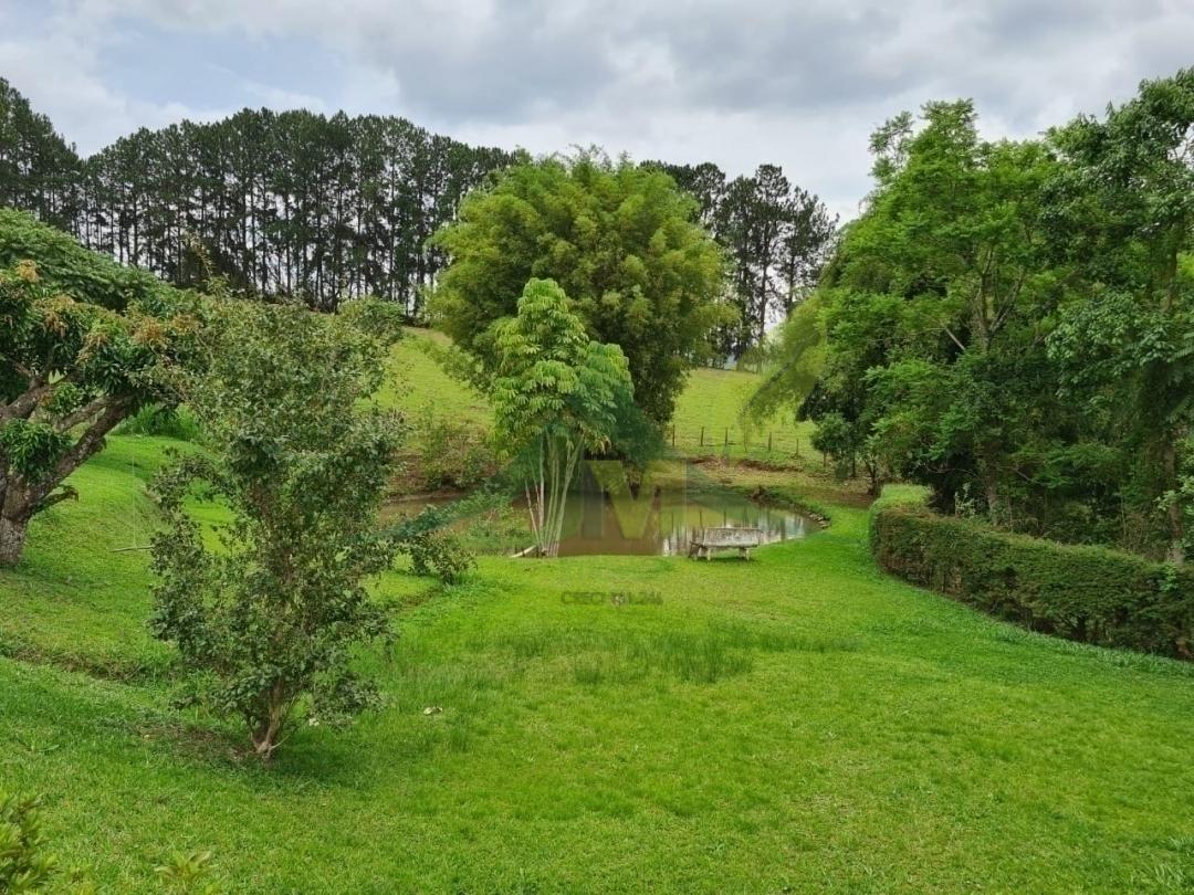 Sítio, 4 quartos, 5 hectares - Foto 14