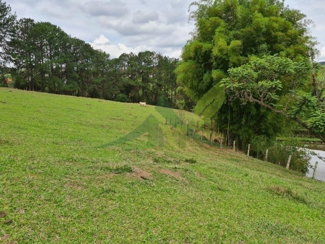 Sítio, 4 quartos, 5 hectares - Foto 15
