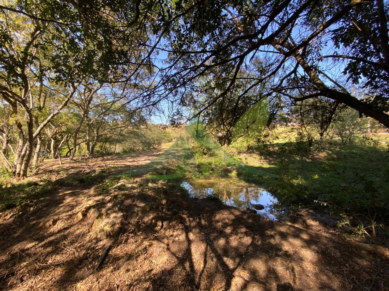 Sítio, 4 quartos, 5 hectares - Foto 31