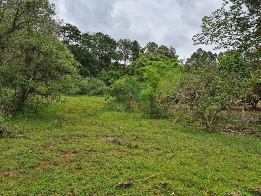Sítio, 4 quartos, 5 hectares - Foto 16