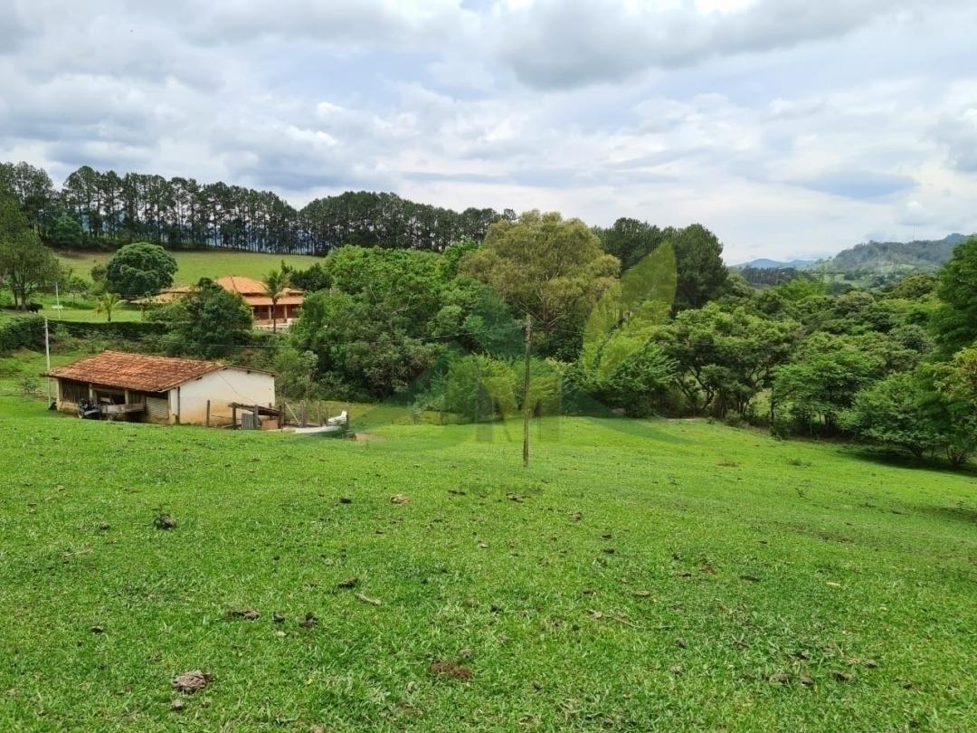 Sítio, 4 quartos, 5 hectares - Foto 18