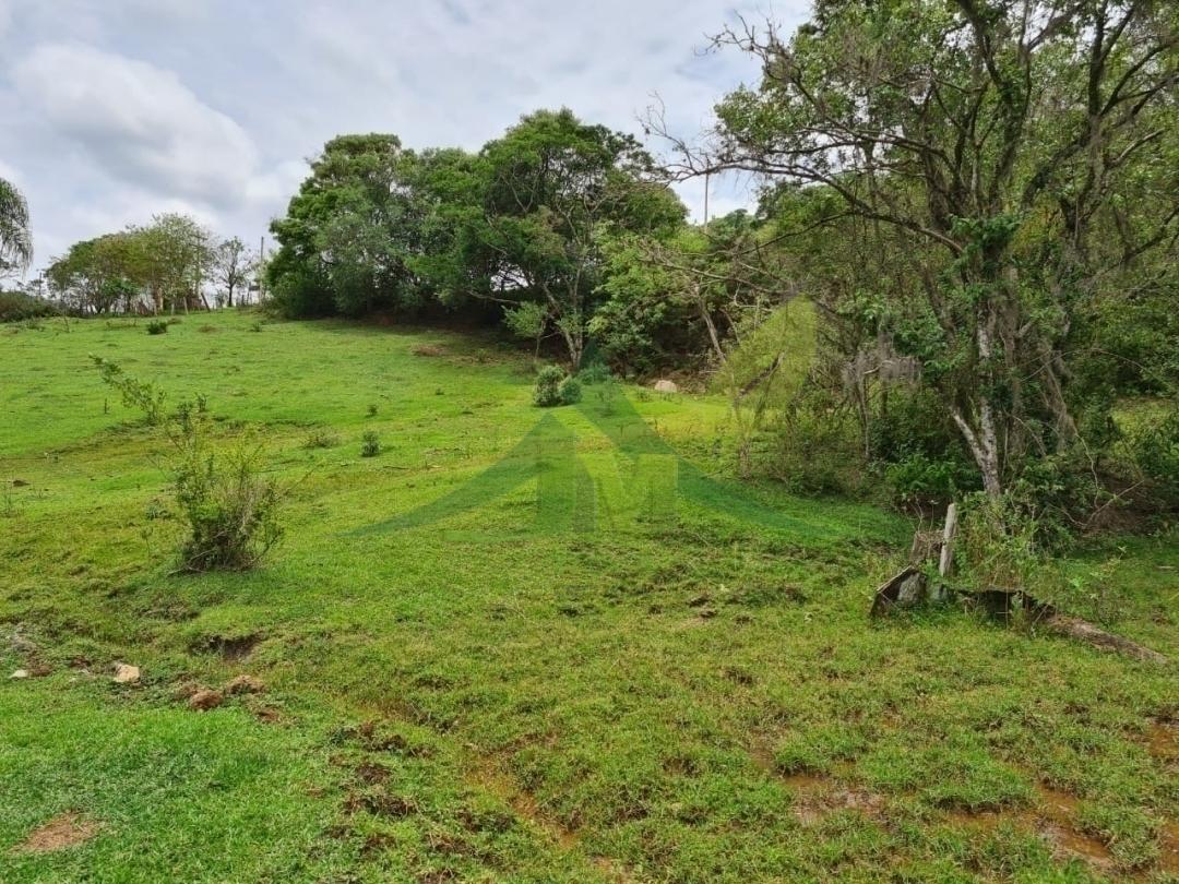 Sítio, 4 quartos, 5 hectares - Foto 20