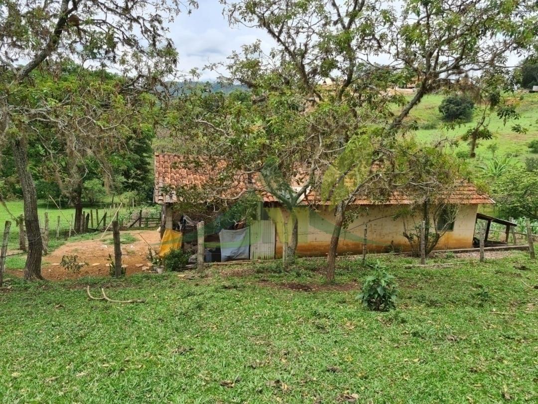 Sítio, 4 quartos, 5 hectares - Foto 21