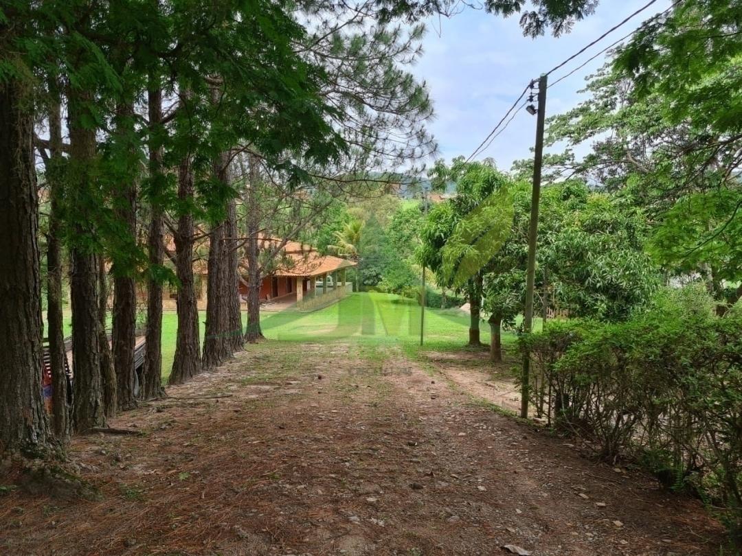 Sítio, 4 quartos, 5 hectares - Foto 22