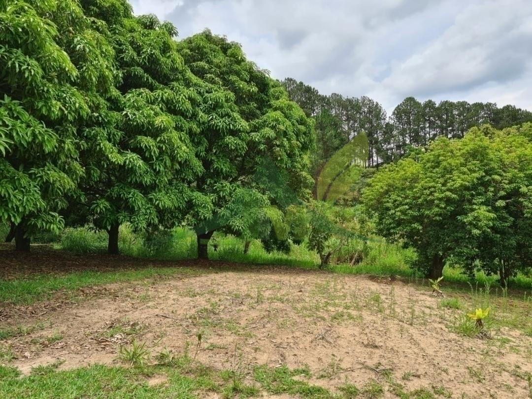 Sítio, 4 quartos, 5 hectares - Foto 24