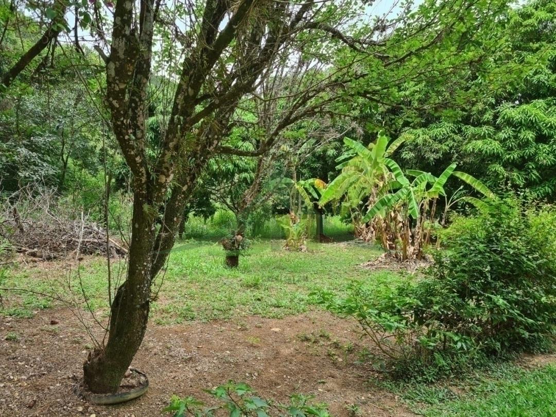 Sítio, 4 quartos, 5 hectares - Foto 26