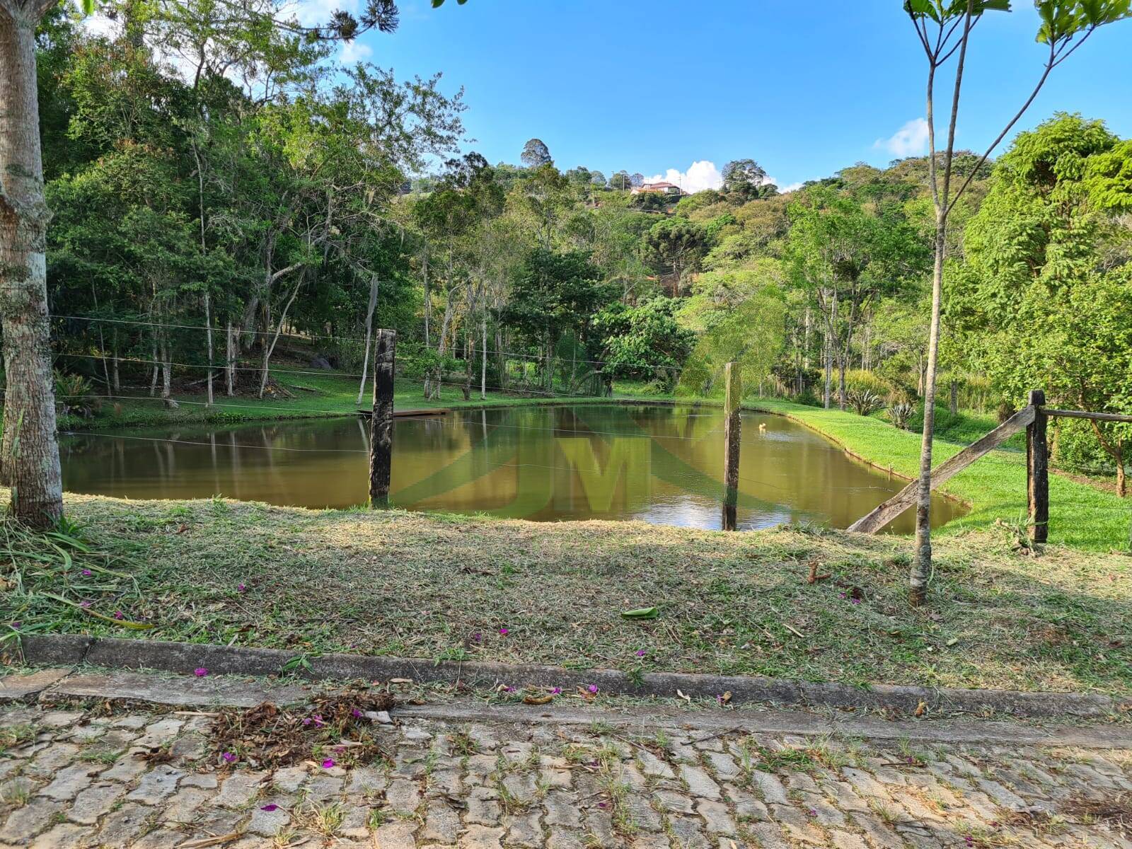 Sítio, 4 quartos, 1060 m² - Foto 3