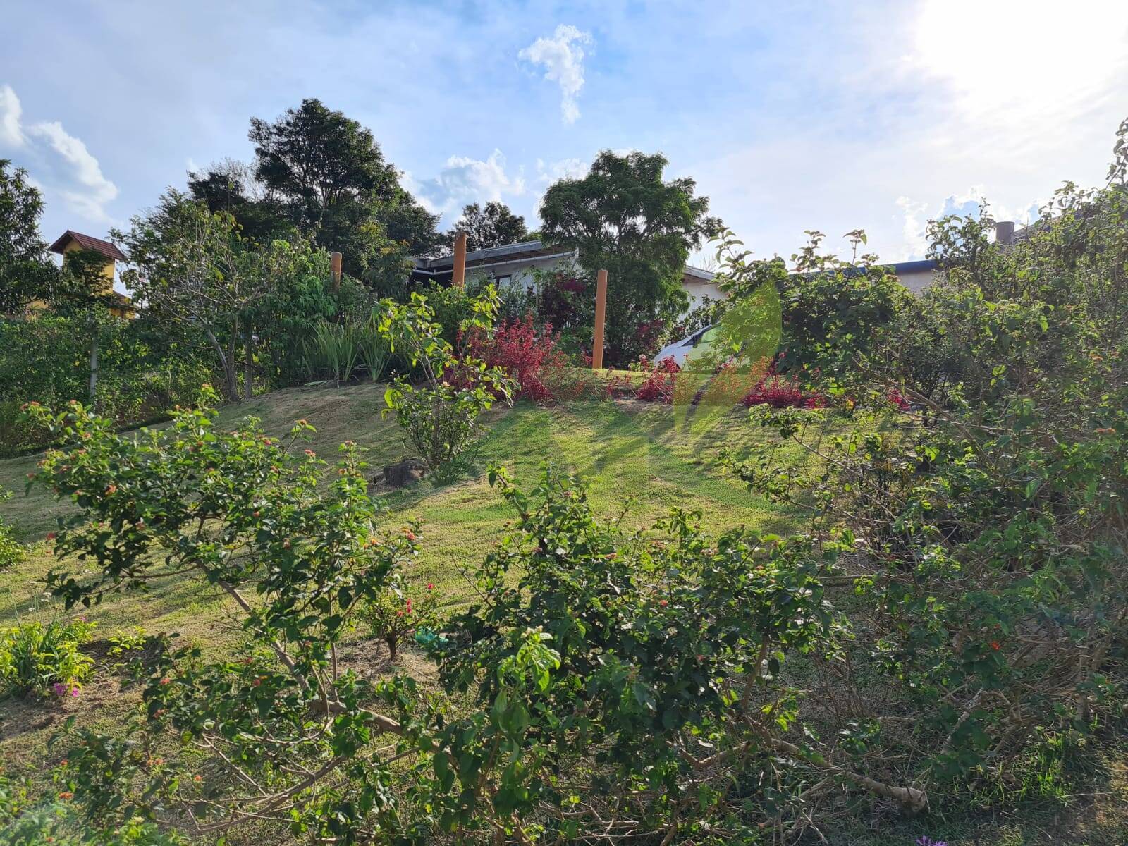 Sítio, 4 quartos, 1060 m² - Foto 6