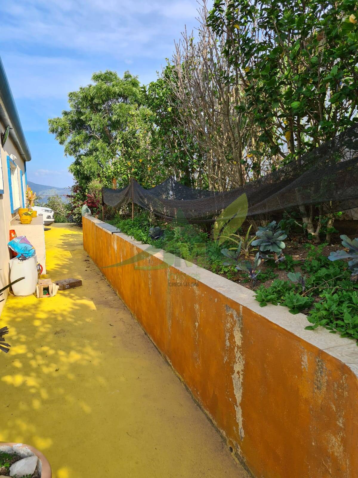 Sítio, 4 quartos, 1060 m² - Foto 19