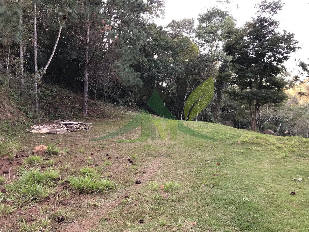 Sítio, 1 quarto, 3 hectares - Foto 7