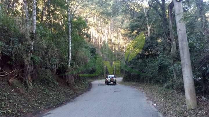 Terreno, 2 hectares - Foto 2