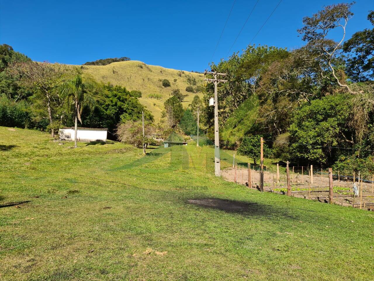 Sítio, 4 quartos, 53 hectares - Foto 10