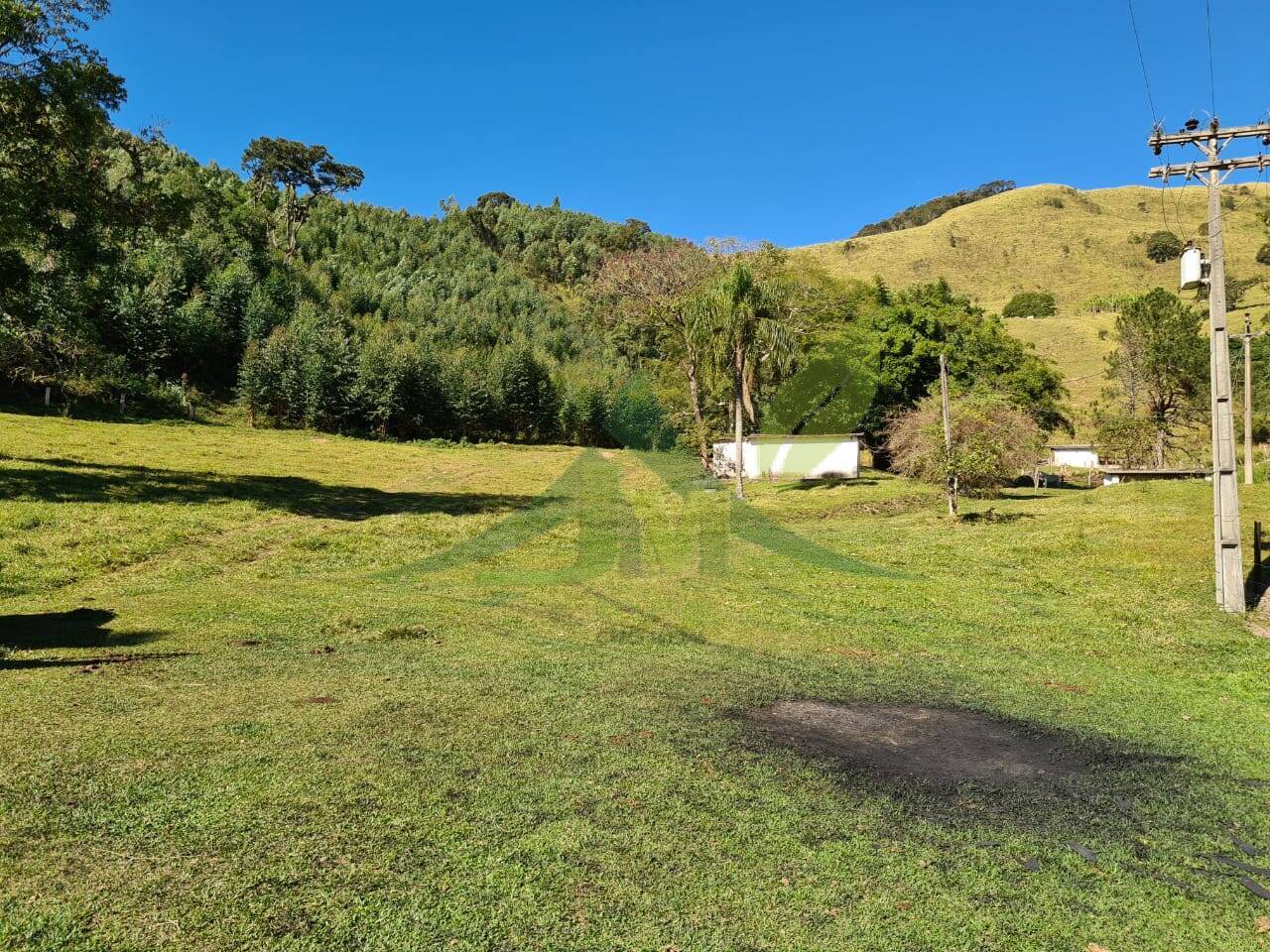 Sítio, 4 quartos, 53 hectares - Foto 12