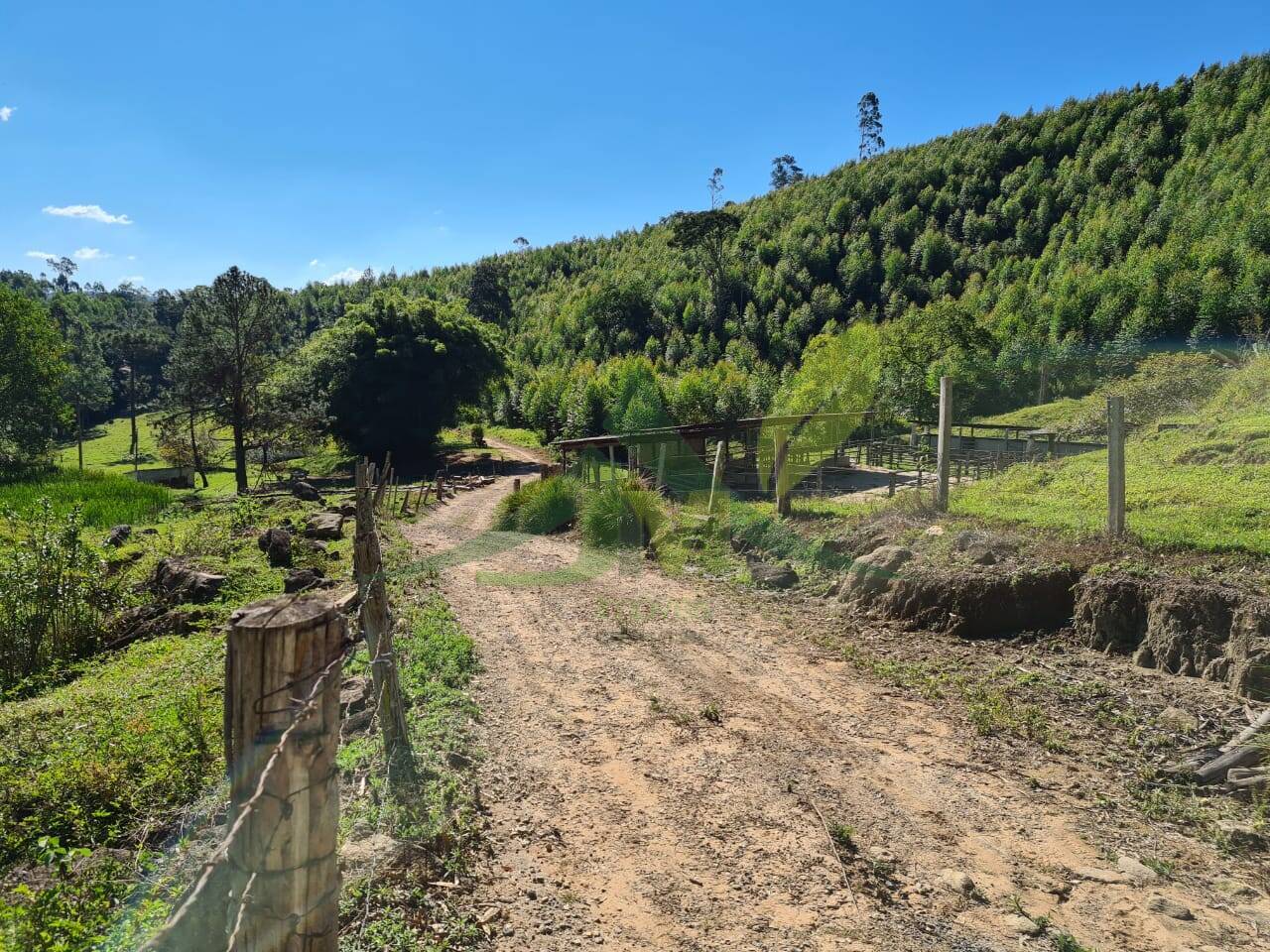 Sítio, 4 quartos, 53 hectares - Foto 8