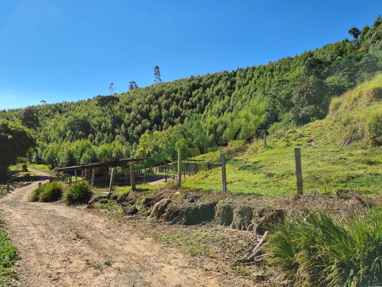 Sítio, 4 quartos, 53 hectares - Foto 13