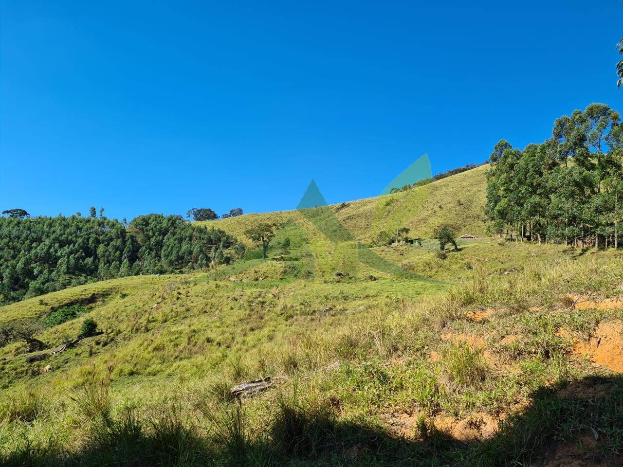 Sítio, 4 quartos, 53 hectares - Foto 9