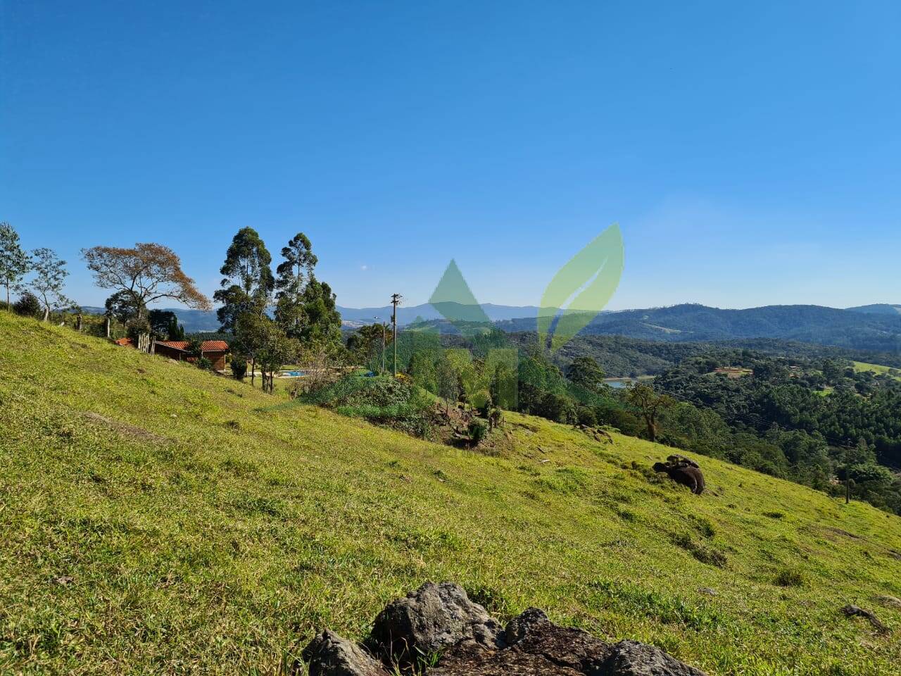 Sítio, 4 quartos, 53 hectares - Foto 14