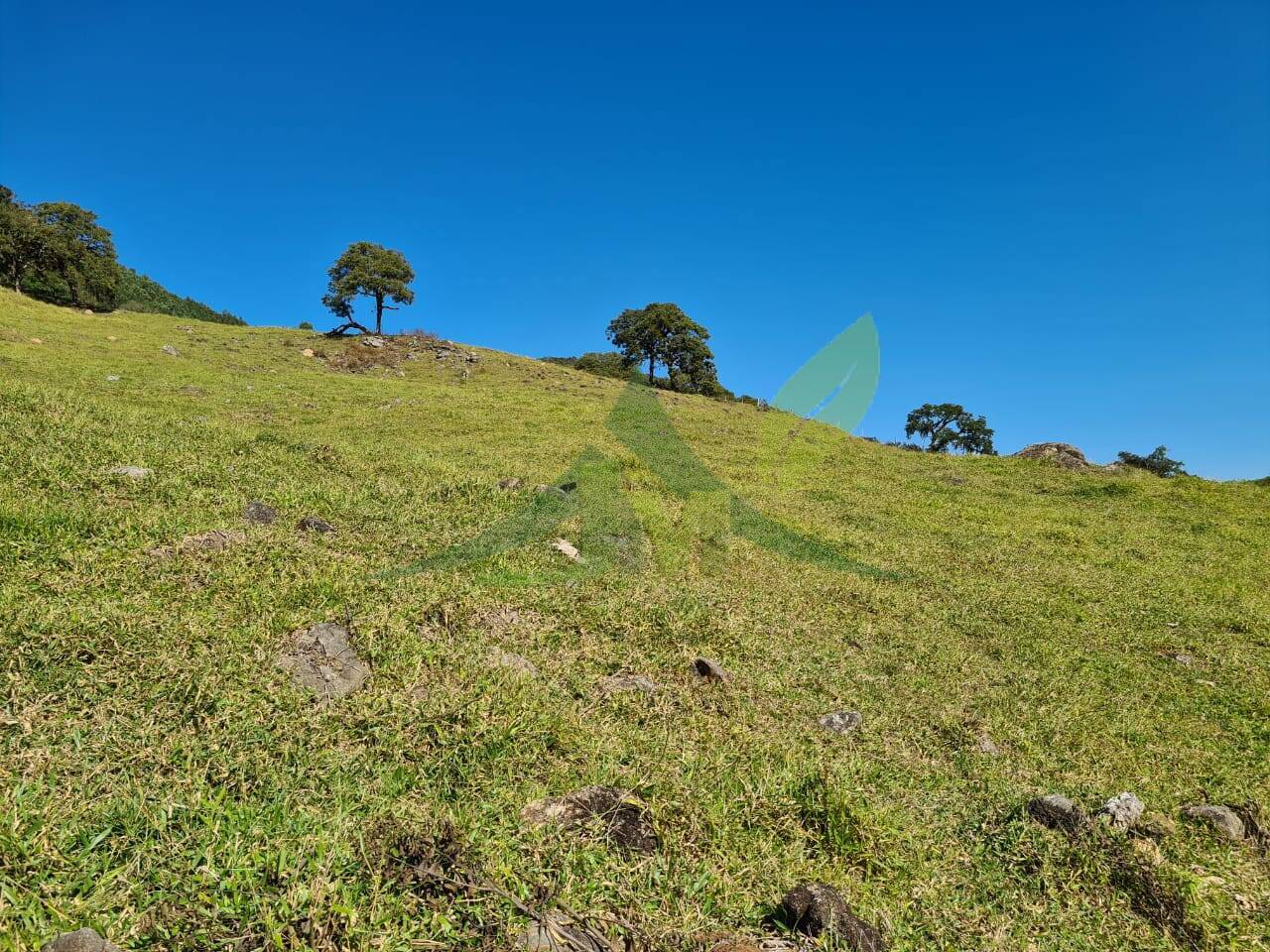 Sítio, 4 quartos, 53 hectares - Foto 15